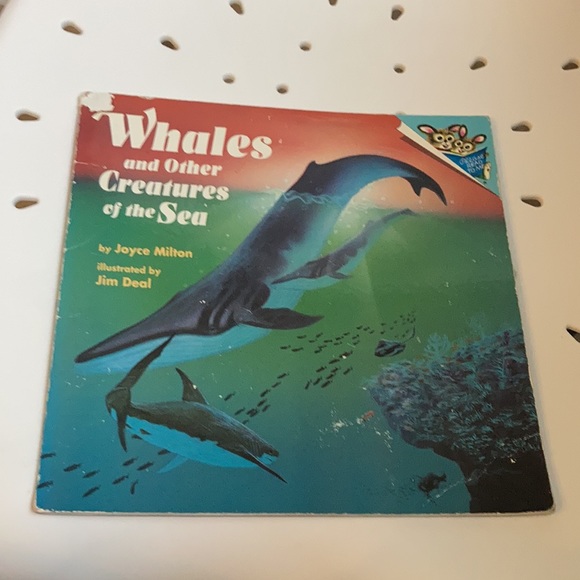 “Whales and Other Creatures of the Sea” kids book - Picture 4 of 16